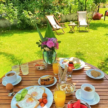 Eleana Hotel Agios Ioannis (Thessaly)