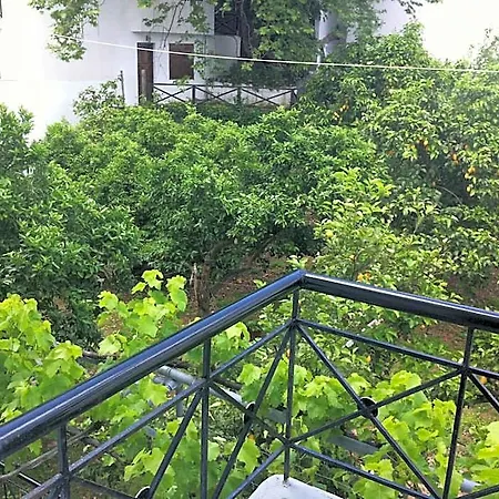 Eleana Agios Ioannis (Thessaly)